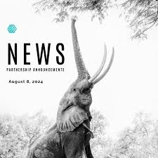 Unlocking Growth The Power of B2B Partnerships Unlocking Growth The Power of B2B Partnerships